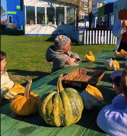 Kabağı tüm yönleriyle keşfettik