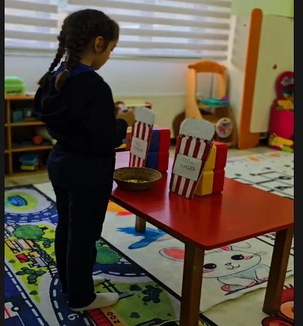 Tekil ve çoğul isimler