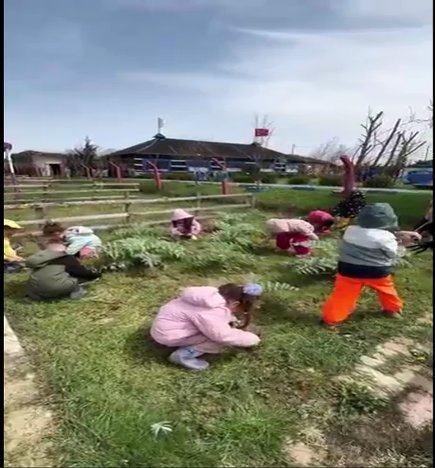 Enginarlarımızın otlarını temizledik