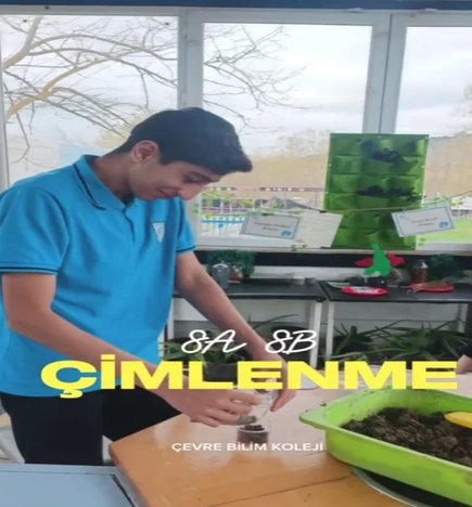 Çimlenme ile oksijenli solunum