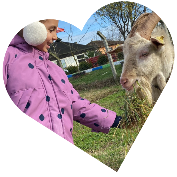 Doğal Yaşam Enstitüsü